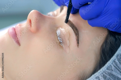 Cosmetologist making lash laminating and eyebrow painting for woman in beauty clinic, face closeup, side view. Beautician applying dark brown paint on woman's brows using brush in cosmetology.