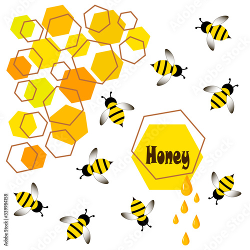  In flat style vector. Cartoon icon illustration of bee, wasp, honey on white background. 