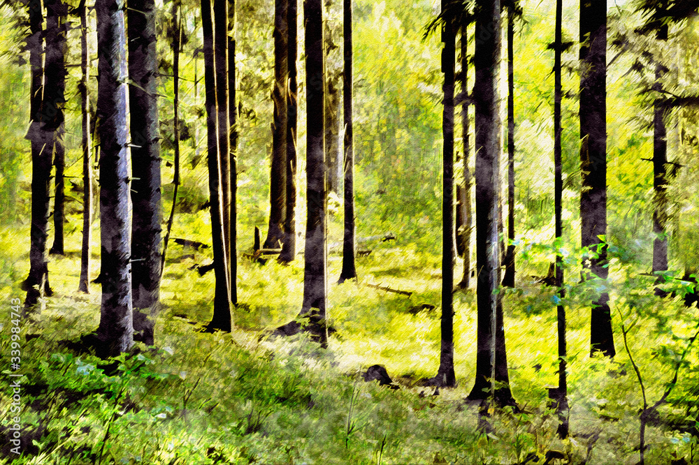 Obraz premium forest