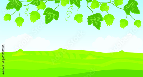 Green summer landscape. Branch with hop cones. Vector illustration.