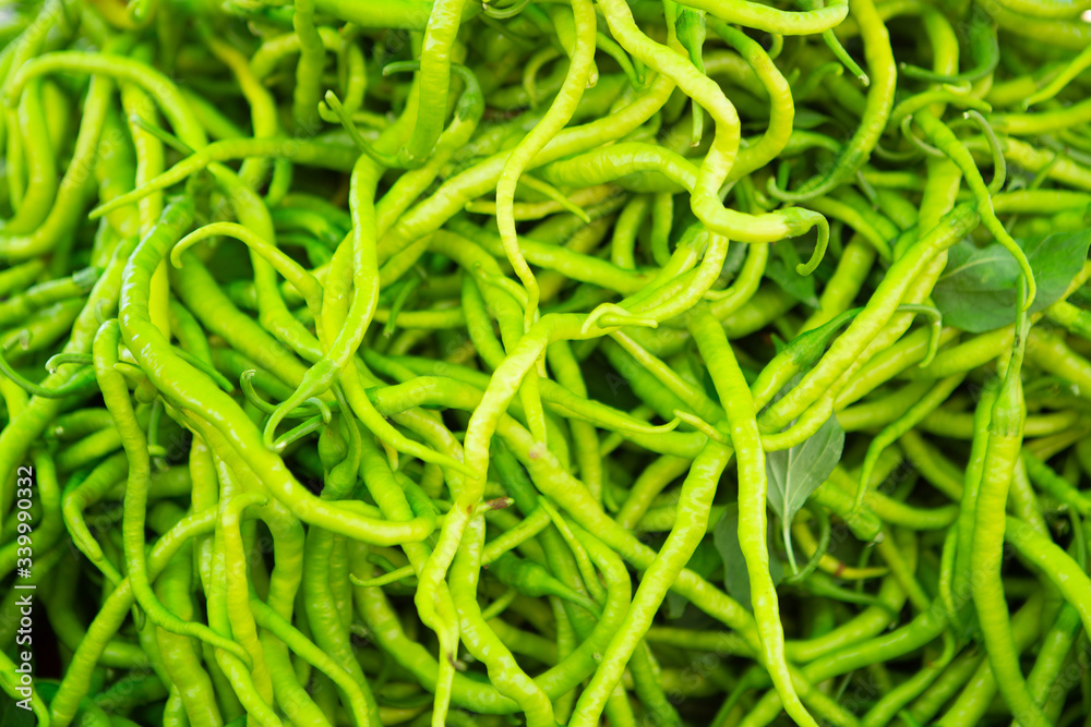 fresh thin hot green peppers laid out on the counter for sale in the organic market fresh thin hot green peppers laid out on the counter for sale in the organic market