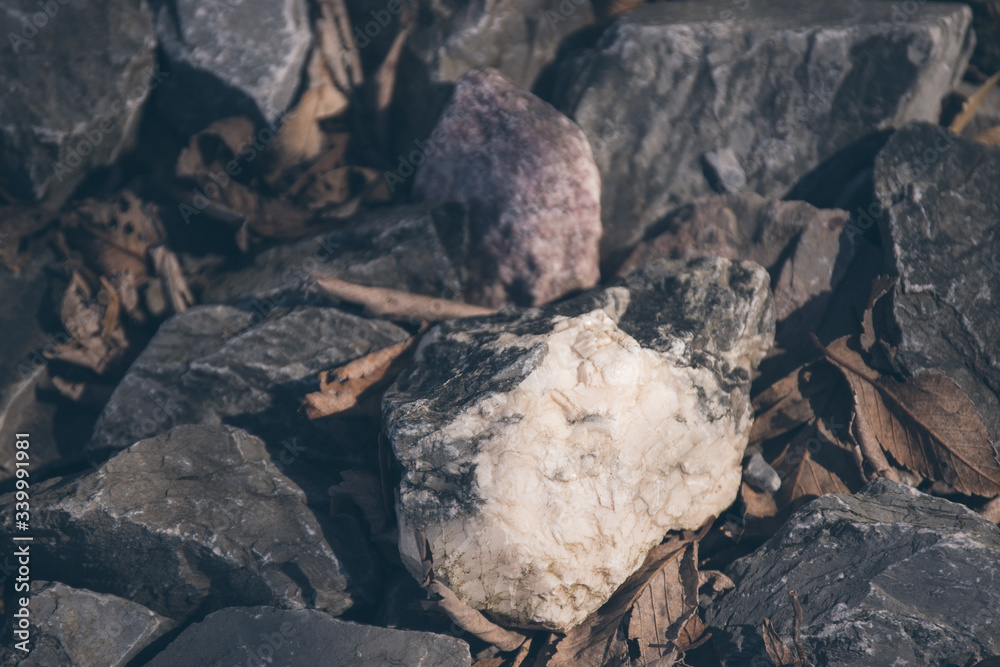 stones and foliage stones and foliage