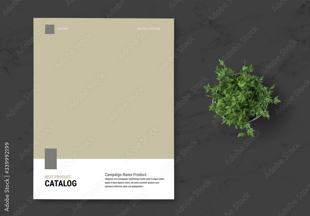 Product Catalog Layout with Brown Accent Stock Template Adobe Stock