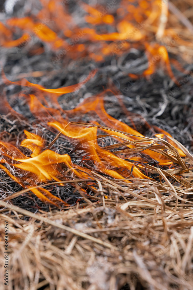 Fire burning dry grass in meadow of spring forest. Soft selective focus, motion blur from fire and high temperature flames. Close-up view Fire burning dry grass in meadow of spring forest. Soft selective focus, motion blur from fire and high temperature flames. Close-up view