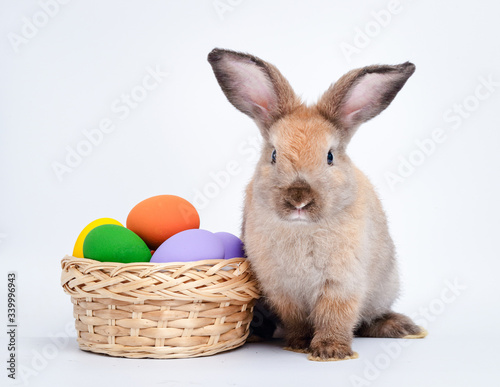 Cute little brown rabbit and a basket with Easter eggs. On a white background. Festival concept © SUPERMAO