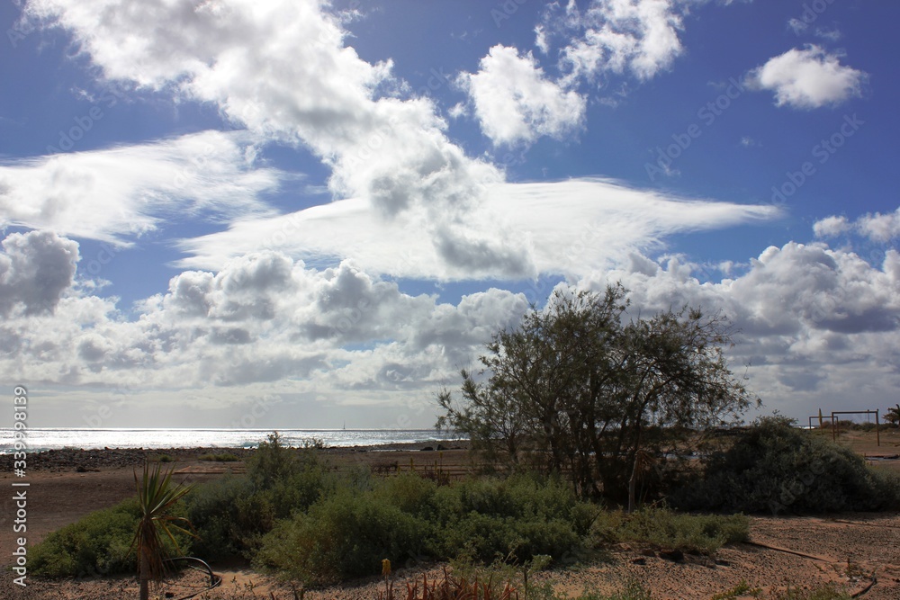 Obraz premium Caleta de Fuste, Fuerteventura