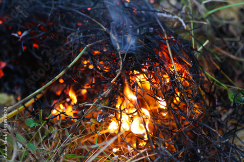 Set fire to dry grass.