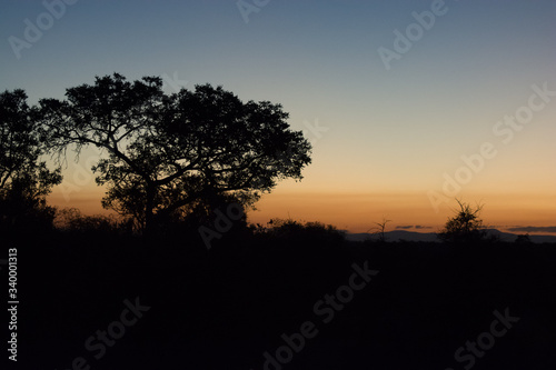 Nightfall in the African bus