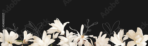 Floral banner, header with copy space. White magnolia isolated on dark grey background. Natural flowers wallpaper or greeting card.