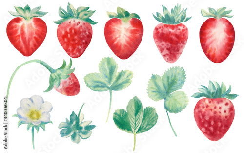 Fototapeta Naklejka Na Ścianę i Meble -  Hand paint watercolor illustration set with strawberries isolated on white background. Perfect for creating cards, invitations, wedding design.