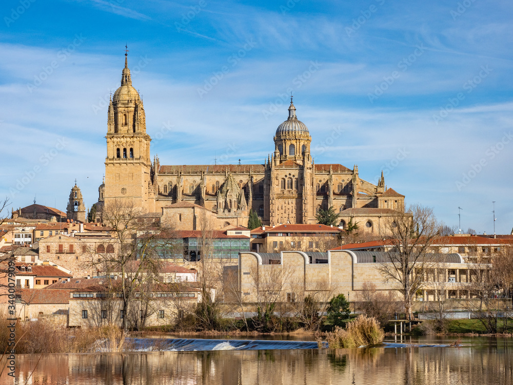 Salamanca cathedral with reflection on the river