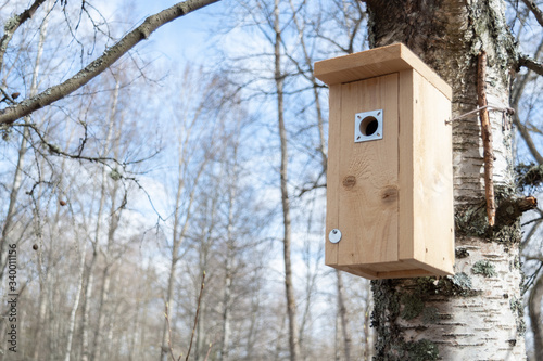 bird house on a birch tree in spring