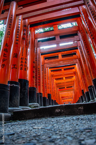 Fushimiinari Shrine Senbontorii