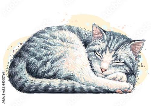Cat. Wall sticker. Color, artistic, realistic portrait of a cute sleeping cat in watercolor style on a white background.