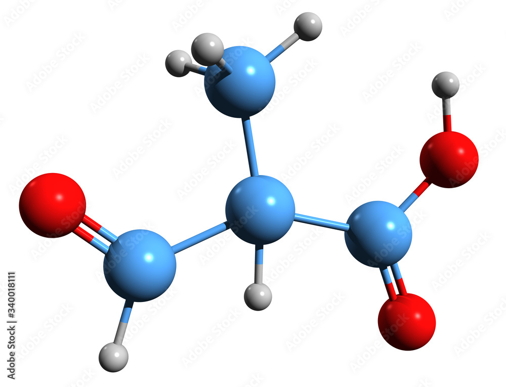 3D image of 2-Methyl-3-oxopropanoic acid skeletal formula - molecular chemical structure of methylmalonate semialdehyde isolated on white background
3D image of 2-Methyl-3-oxopropanoic acid skeletal formula - molecular chemical structure of methylmalonate semialdehyde isolated on white background