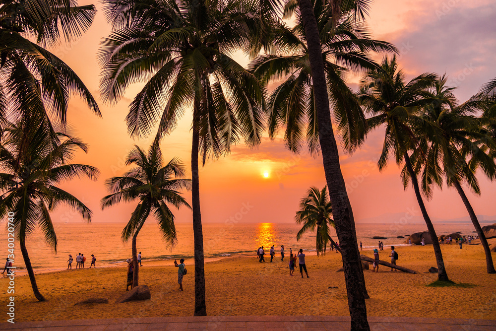 Sunset coconut