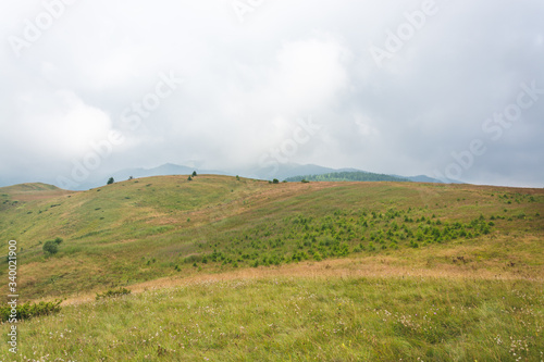Green Mountain Pasture