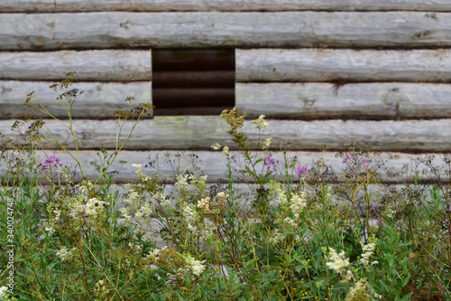 The texture of the wooden logs of the wall of the house, gray with time and rains, among the flowers