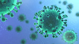 Coronavirus 2019-nCov novel coronavirus concept resposible for asian flu outbreak and coronaviruses influenza as dangerous flu strain cases as a pandemic. Microscope virus close up. 3d rendering.
