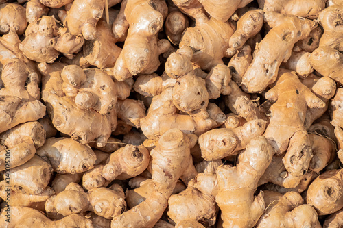 Fresh organic ginger on market.Ginger is an herb.Ginger is used for cooking food and beverages.