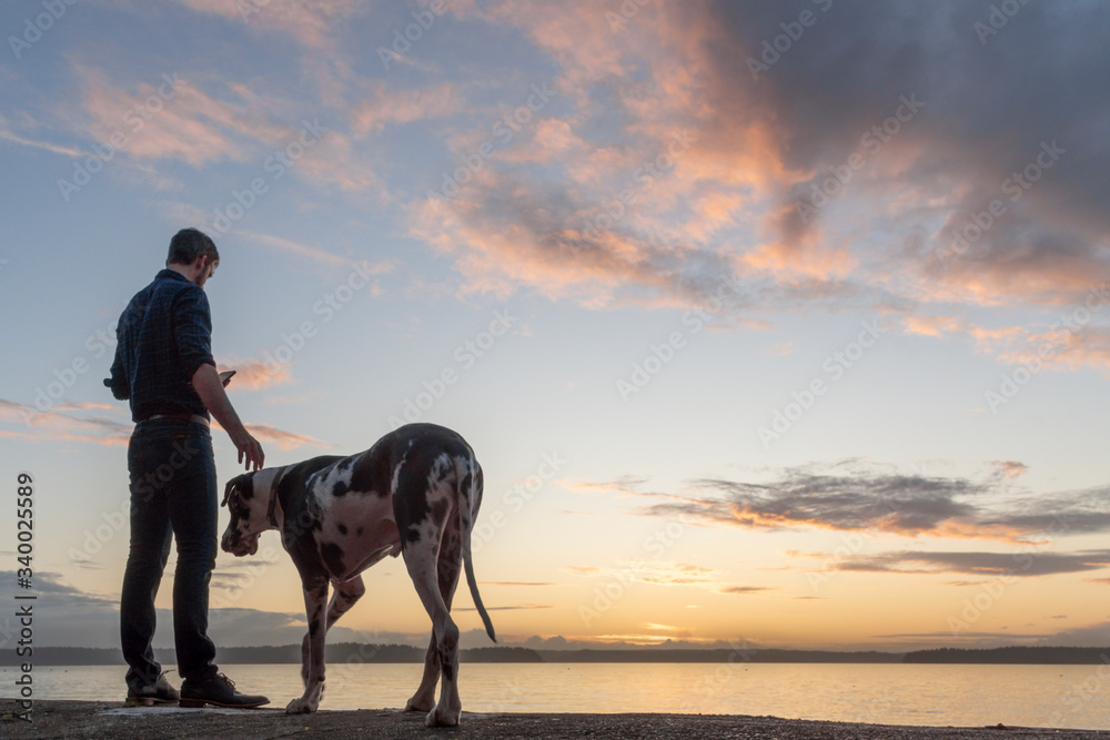 Man using technology outside at sunset with loyal dog. Man using technology outside at sunset with loyal dog.