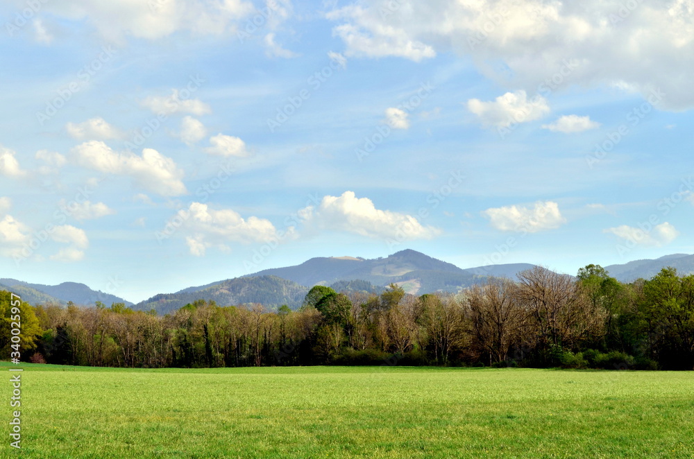 Dreisamtal bei Freiburg im Frühling
