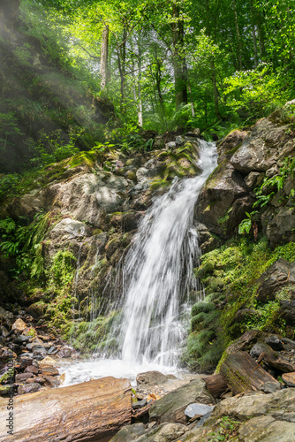 A creek in a green forest with a waterfall, shot with a long exposure.