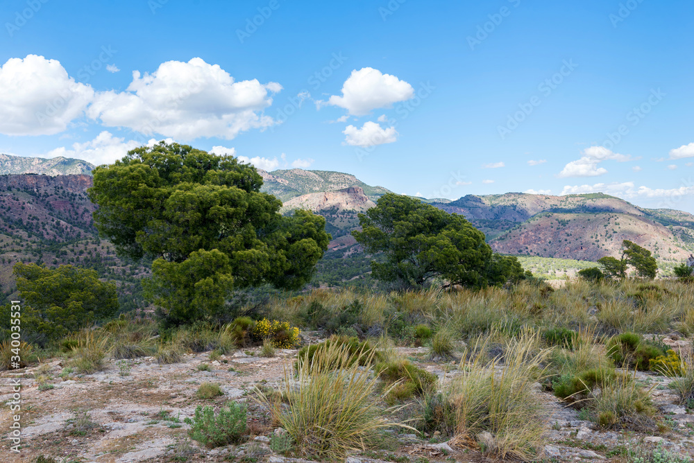 Canyon Barrancos de Gebas. Totana. Murcia. Spain.
