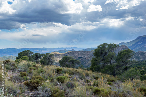 Canyon Barrancos de Gebas. Totana. Murcia. Spain. 