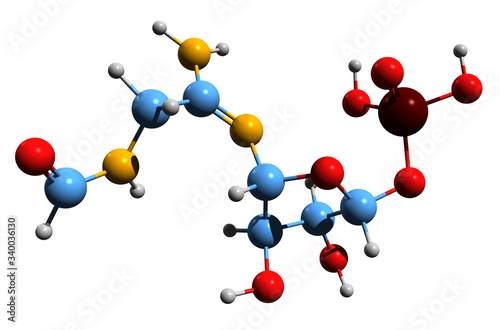 3D image of 5-Phosphoribosylformylglycinamidine skeletal formula - molecular chemical structure of FGAM isolated on white background
 photo
