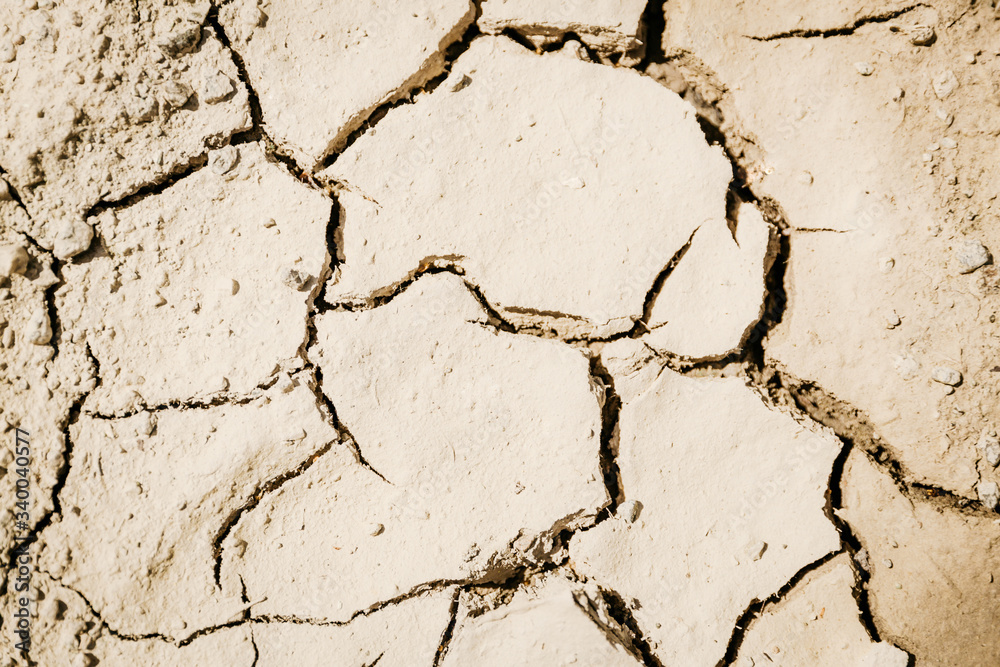 Fototapeta premium Close up of dry cracked ground
