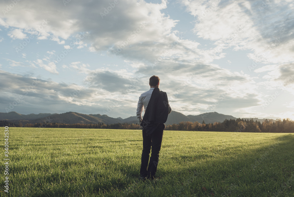 Businessman standing in green meadow under cloudy sky