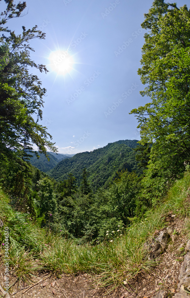 Fototapeta premium Pieniny latem