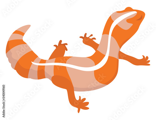 Orange lizard, illustration, vector on white background