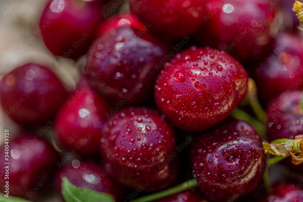 Macro red cherries. Water drops or dew drops on ripe juicy cherries. Sweet fruits. Shallow depth of field. Art photography Macro red cherries. Water drops or dew drops on ripe juicy cherries. Sweet fruits. Shallow depth of field. Art photography