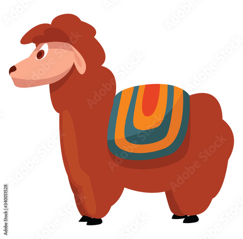 Short llama, illustration, vector on white background