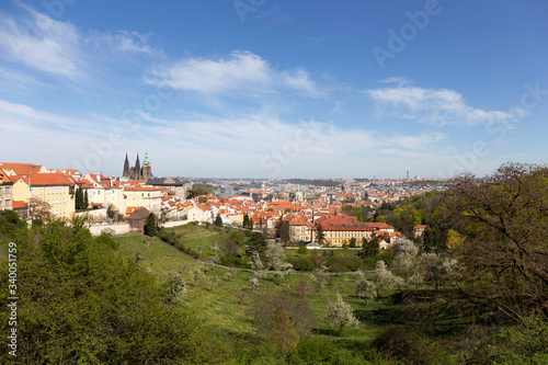 Spring Prague City with gothic Castle and the green Nature and flowering Trees from the Hill Petrin, Czech Republic