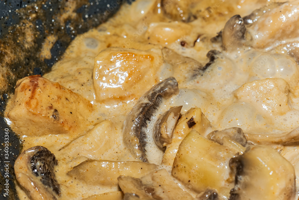 Close-up of homemade cooking chicken with creamy mushrooms Close-up of homemade cooking chicken with creamy mushrooms