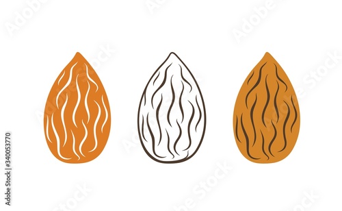 Almond logo. Isolated almond on white background
