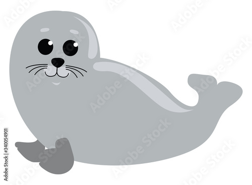Nerpa animal, illustration, vector on white background