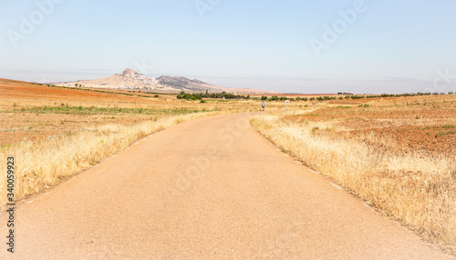 secondary paved road on a summer landscape next to Magacela, province of Badajoz, Extremadura, Spain