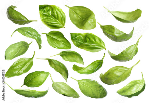 Set with fresh green basil leaves on white background