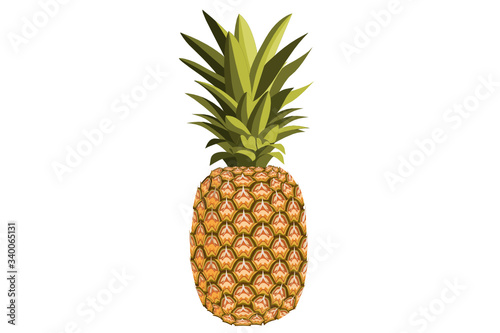 Pineapple detailed illustration. Whole fruit close up, isolated on a white background. Vector.
