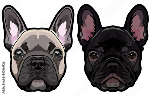 Vector set of french bulldog's heads illustration photo