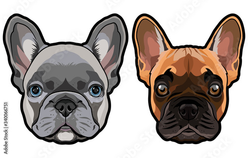 Vector set of french bulldog's heads illustration © satoriartworkco