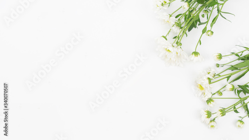 Blank copy space with white daisy flower