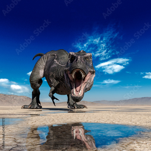 tyrannosaurus rex is drinking water on desert © DM7