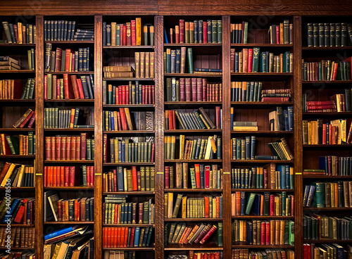 Obraz na płótnie Books on Shelves in Library or Study with Classic Dark Wood