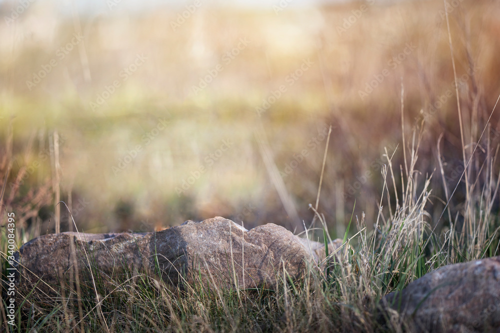 Obraz premium Kamień