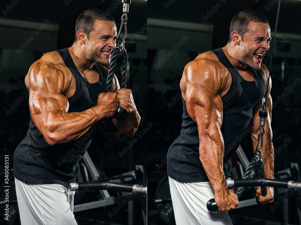 Tricep builder new arrivals